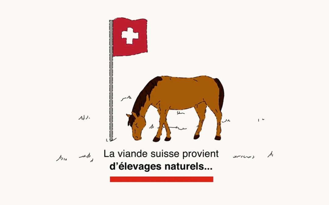 Viande Chevaline Suisse: Vidéos Multimédia