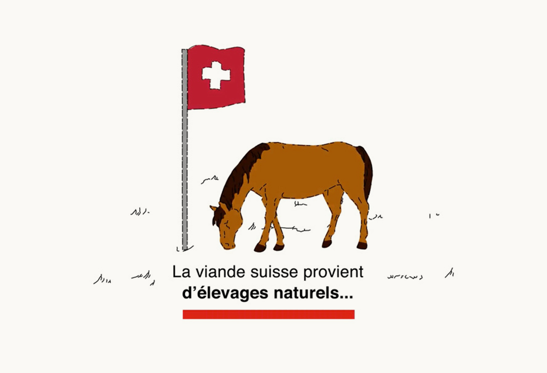 Viande Chevaline Suisse: Vidéos Multimédia